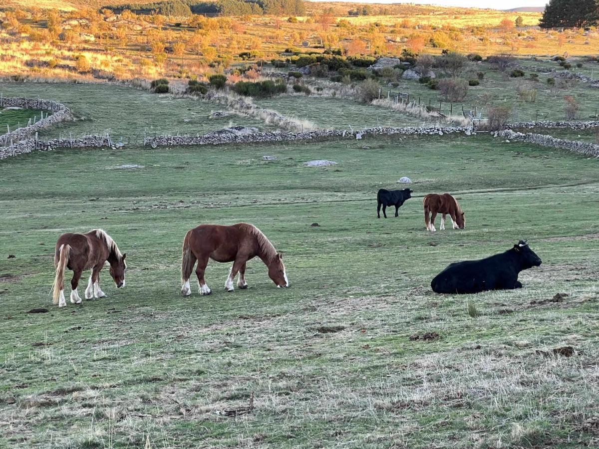 La Nava De Gredos Acogedor Piso Con Vistas Appartement Navarredonda de Gredos Buitenkant foto